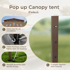 Gazebo de jardin renforcé escamotable avec rideau d'angle élégant - 13 x 13 pi