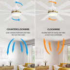 Ventilateur de plafond LED noir à 8 pales de 65 pouces avec éclairage et télécommande