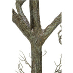 Arbre mort à 96 brindilles