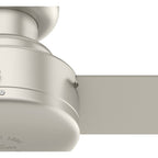 Pergola d'extérieur en acier de 10 pi x 13 pi, auvent de patio avec trous de drainage pour jardin, terrasse de piscine