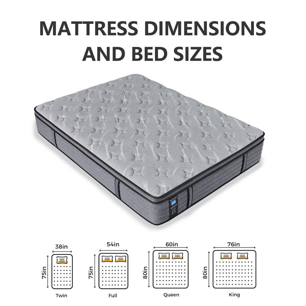 Matelas hybride Modland 14 pouces, plateau Euro - Mousse CertiPUR-US ignifuge pour soulager les maux de dos, lit simple/double/queen/king size